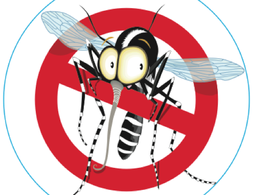 Disinfestazione da insetti alati – Martedì 03 Agosto 2021