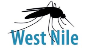 Notizia Comune di Gonnosnò