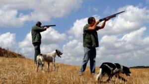 Notizia Comune di Gonnosnò