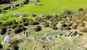 Notizia Comune di Gonnosnò